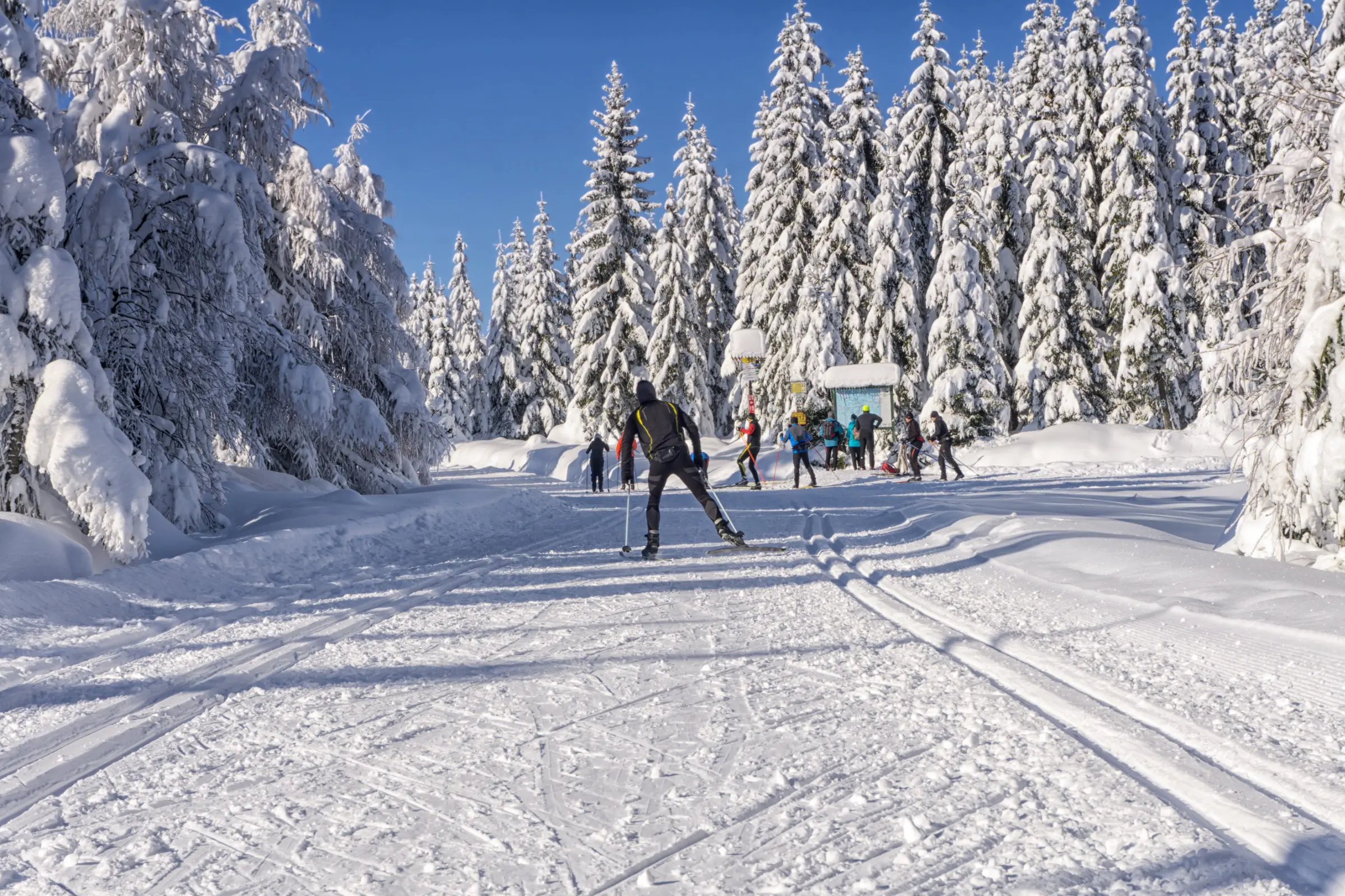 Narty Szklarska Poręba i okolice - Karkonosze